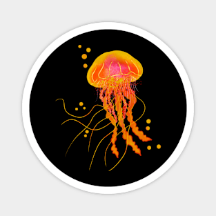 Jellyfish Magnet